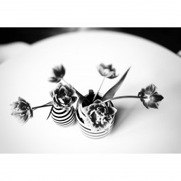 MOOK PHOTOGRAPHY